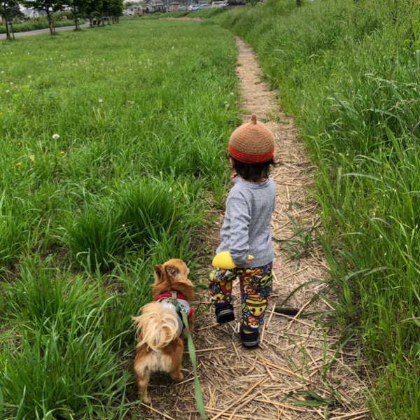 うちの子、なんで噛むのー？？